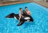 Intex 58561NP - Monture baleine Voir les images du produit 5
