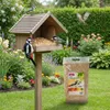 PANTO Erdnusskerne blanchiert 10kg - Wildvogelfutter Produktbild-Vorschau 3