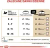 Royal Canin Feline Kitten Maine Coon 36 4kg Anteprima dell’immagine prodotto 11