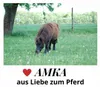 Ponysattel Shettysattel Holzpferdesattel 2. Wahl, ohne Produktbild-Vorschau 5
