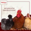 Supravit Getrocknete Garnelen für Hühner & Geflügel 1kg | Produktbild-Vorschau 5