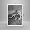 Poster - Poster ohne Rahmen - Löwe Tier Natur - 70x100 cm - Produktbild-Vorschau 4