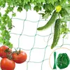 Filet de jardin pour plantes à mailles larges Culture de Voir les images du produit 6
