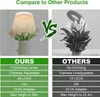 (Anneau d'ange) Lampe pour plantes LED Lumière pour plantes Voir les images du produit 6