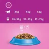 Whiskas Adult 1+ Trockenfutter mit Thunfisch im Karton, Produktbild-Vorschau 6