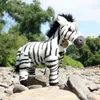 Peluche Zèbre 30 Cm Ecologique Voir les images du produit 3