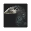 MuchoWow® Mauspad Mousepad Vogel - Porträt - Hornvogel - Produktbild-Vorschau 1