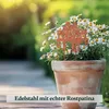 Gartenstecker in Rost & Silber Rost Deko für Garten, Balkon Produktbild-Vorschau 3