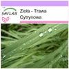 SAFLAX - Zioła - Trawa Cytrynowa - 50 Nasiona - Cymbopogon Podgląd zdjęcia produktu 6