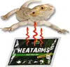 A bearded dragon lizard is shown above a heat pack. Anteprima dell’immagine prodotto