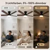 Deckenventilator mit Beleuchtung Schwarz Ø106cm H22cm 40W Produktbild-Vorschau 7