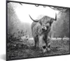 MuchoWow® MuchoWow® Gerahmtes Poster Schottische Produktbild-Vorschau 1