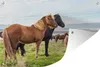 MuchoWow® Produktbild-Vorschau 1
