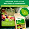 Purgrün -Obstdünger 1 kg, Produktbild-Vorschau 4