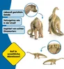 Diplodoc Voir les images du produit 6