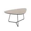 Hela Tische, Couchtisch Pisa, Nierenform - 2er Set - Produktbild-Vorschau 4