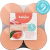 Bolsius Maxi-Teelichter orange 8h True Scents Pfirsich 8er Produktbild-Vorschau 7