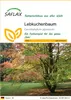 SAFLAX - Lebkuchenbaum - 200 Samen - Cercidiphyllum Produktbild-Vorschau 1