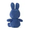A blue plush bunny toy viewed from the back, sitting on a white background. Produktbild-Vorschau