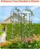 set de 2 supports pour plantes grimpantes Grille pour Voir les images du produit 3