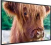MuchoWow® MuchoWow® Gerahmtes Poster Schottisches Produktbild-Vorschau 7