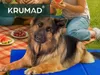 KRUMAD mata chłodząca dla psa XXL 110x70cm, samo-chłodząca, Podgląd zdjęcia produktu 6