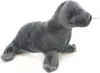 Lion de mer en peluche Voir les images du produit 1