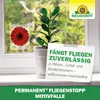 Neudorff Permanent FliegenStopp 4 Klebefallen - Fliegen Produktbild-Vorschau 6