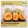 Samenliebe  Melone Samen | Cantaloupe - orange & sehr süß & Produktbild-Vorschau 1