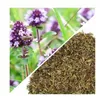 Herbs from Poland Thymiankraut – Schleimlösend, Produktbild-Vorschau 2