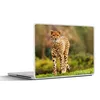 MuchoWow® Laptop Aufkleber Sticker Cover Wildtiere - Gras - Produktbild-Vorschau 1