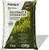 FUXTEC Rasensamen Nachsaat FX-RSNR1 | 1kg für 30m² | Produktbild-Vorschau 1