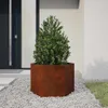 vidaXL Sadzarka Rusty 60x60x45 cm ze stali cortenowskiej Podgląd zdjęcia produktu 2