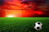 Wallario selbstklebendes Poster - Fußball - Fußballfeld bei Produktbild-Vorschau 1