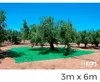 Coperta per la raccolta della frutta 3x6m colore verde Anteprima dell’immagine prodotto 2