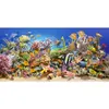 Puzzle 4000 pezzi Vita sottomarina 400089 Anteprima dell’immagine prodotto 2