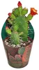 Opuntia quitensis - blühfreudiger Ohrenkaktus - Rarität - Produktbild-Vorschau 1