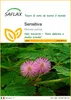SAFLAX  - Sensitiva - 70 semi - Mimosa Anteprima dell’immagine prodotto 1