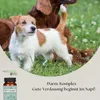 WELLSANA DARM-KOMPLEX – Probiotika für Hunde Produktbild-Vorschau 5