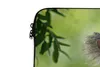 MuchoWow® Laptop Hülle 17 Zoll Laptoptasche Koala - Porträt Produktbild-Vorschau 3
