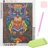 Malatec 17012 Peinture au diamant 5D - hibou Voir les images du produit 3