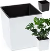 A white square planter with a black interior is shown, with a smaller white square planter and a monstera plant in the foreground. A black square planter is visible in the background. Anteprima dell’immagine prodotto