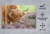 MuchoWow® Schreibtischunterlage Schottischer Highlander - Produktbild-Vorschau 2