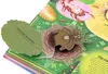 Das unglaubliche Pop-up-Buch - Insekten Produktbild-Vorschau 8