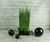 A black ceramic planter with green grass-like plants and three black spheres on a white brick background. Náhľad obrázku produktu