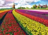 puzzle da 1000 pezzi Campo di tulipani in Olanda Anteprima dell’immagine prodotto 2