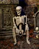 Realistisches Positionierbares Halloween Skelett 90cm für Produktbild-Vorschau 2