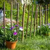 Staketenzaun mit Rinde · 35 x 300 cm Lattenabstand 5-7 cm · Produktbild-Vorschau 5