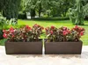 LAMELA spolka z organiczona odpowiedzi. Truhlík BEGONIA Náhled obrázku produktu 3
