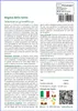 SAFLAX  - Regina della notte - 40 semi - Con substrato - Anteprima dell’immagine prodotto 3